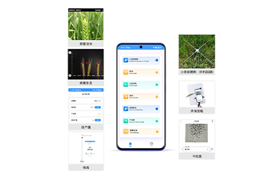 巴中市小麦表型检测仪IN-XM04