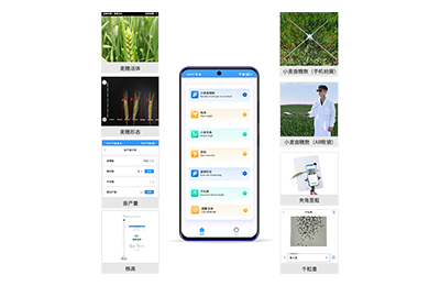 巴中市小麦表型测量仪IN-XM05